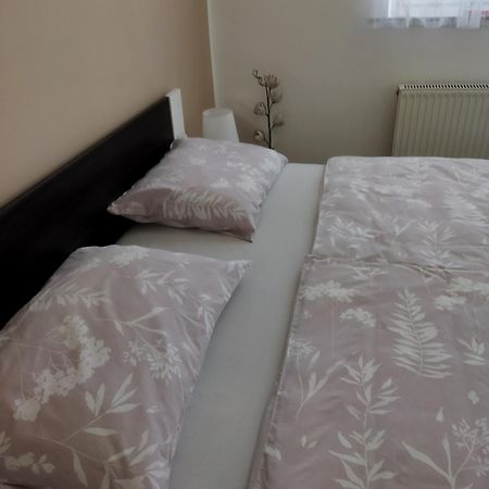 Apartma Jerman - Церкница Экстерьер фото