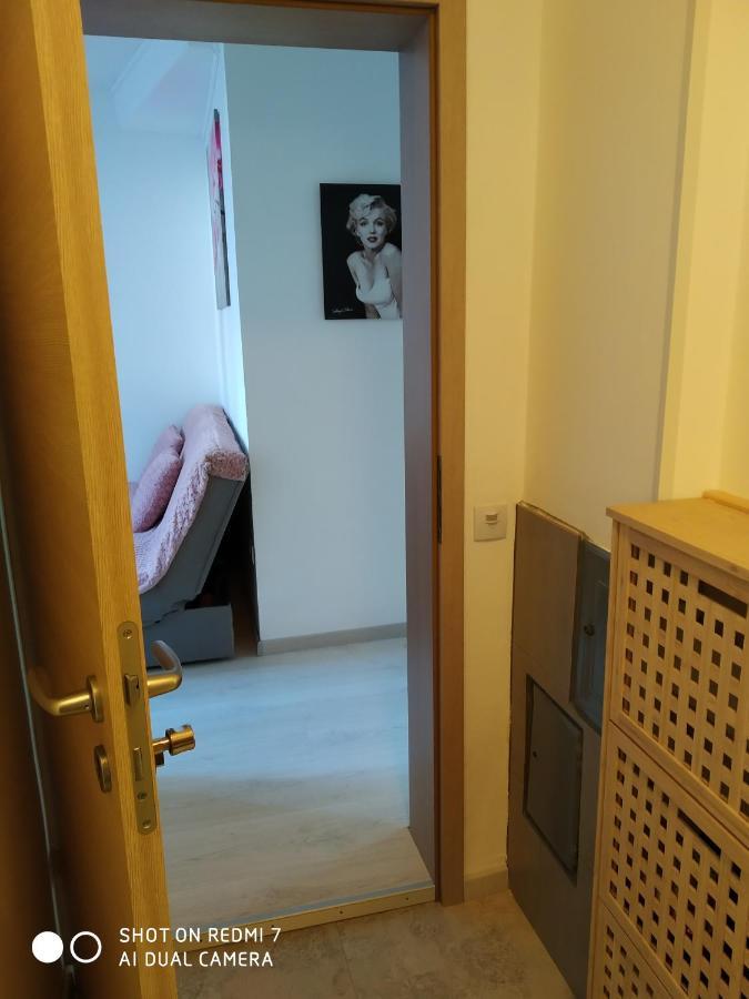 Apartma Jerman - Церкница Экстерьер фото